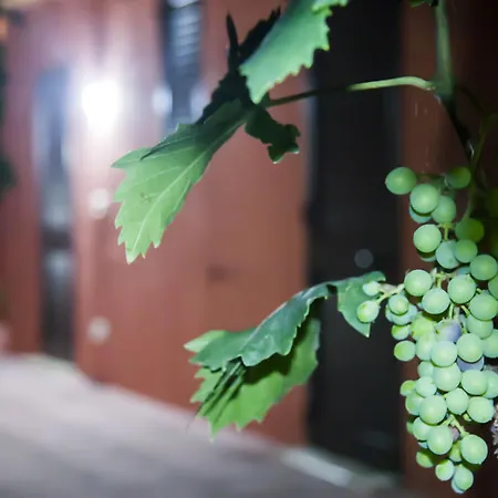 Lantställe Giovanna Nardò