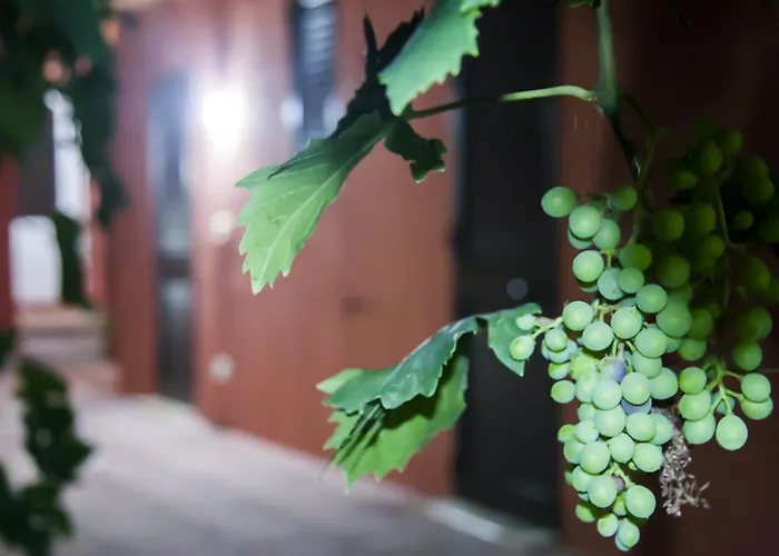 Landhuis Giovanna Nardò